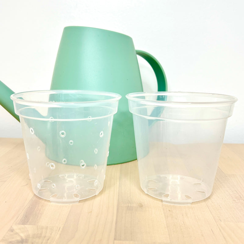 4” Clear Plastic Plant Pot – Standard Option