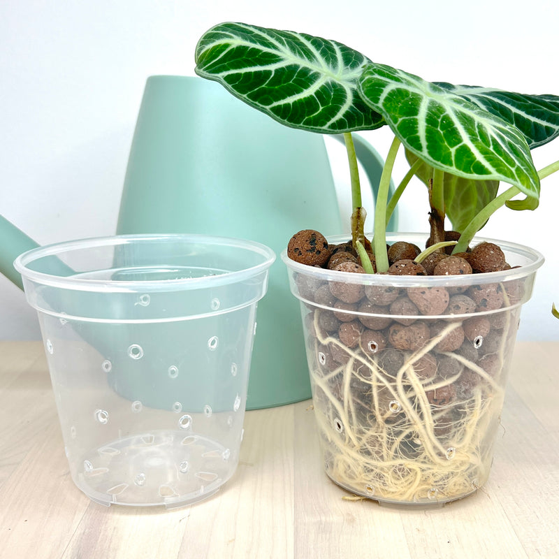 4” Clear Plastic Plant Pot – Semi-Hydro Option