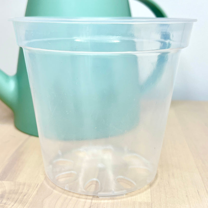 5” Clear Plastic Plant Pot – Standard Option