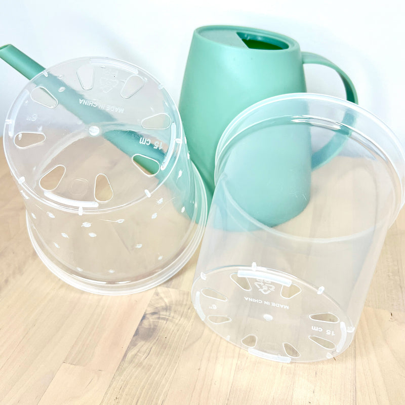 6” Clear Plastic Plant Pot – Semi-Hydro Option
