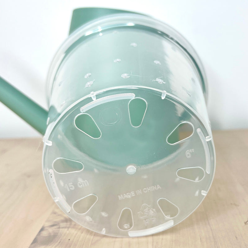 6” Clear Plastic Plant Pot – Semi-Hydro Option