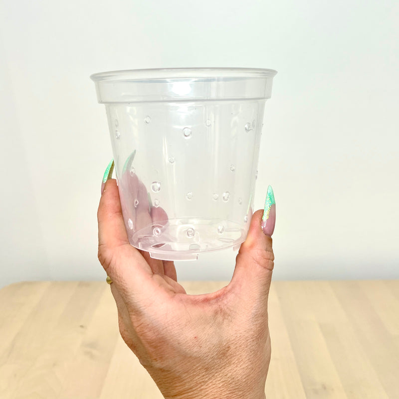 4” Clear Plastic Plant Pot – Semi-Hydro Option