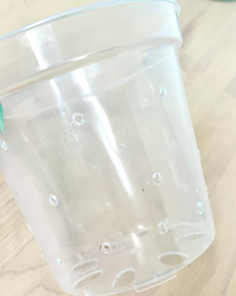 4” Clear Plastic Plant Pot – Semi-Hydro Option