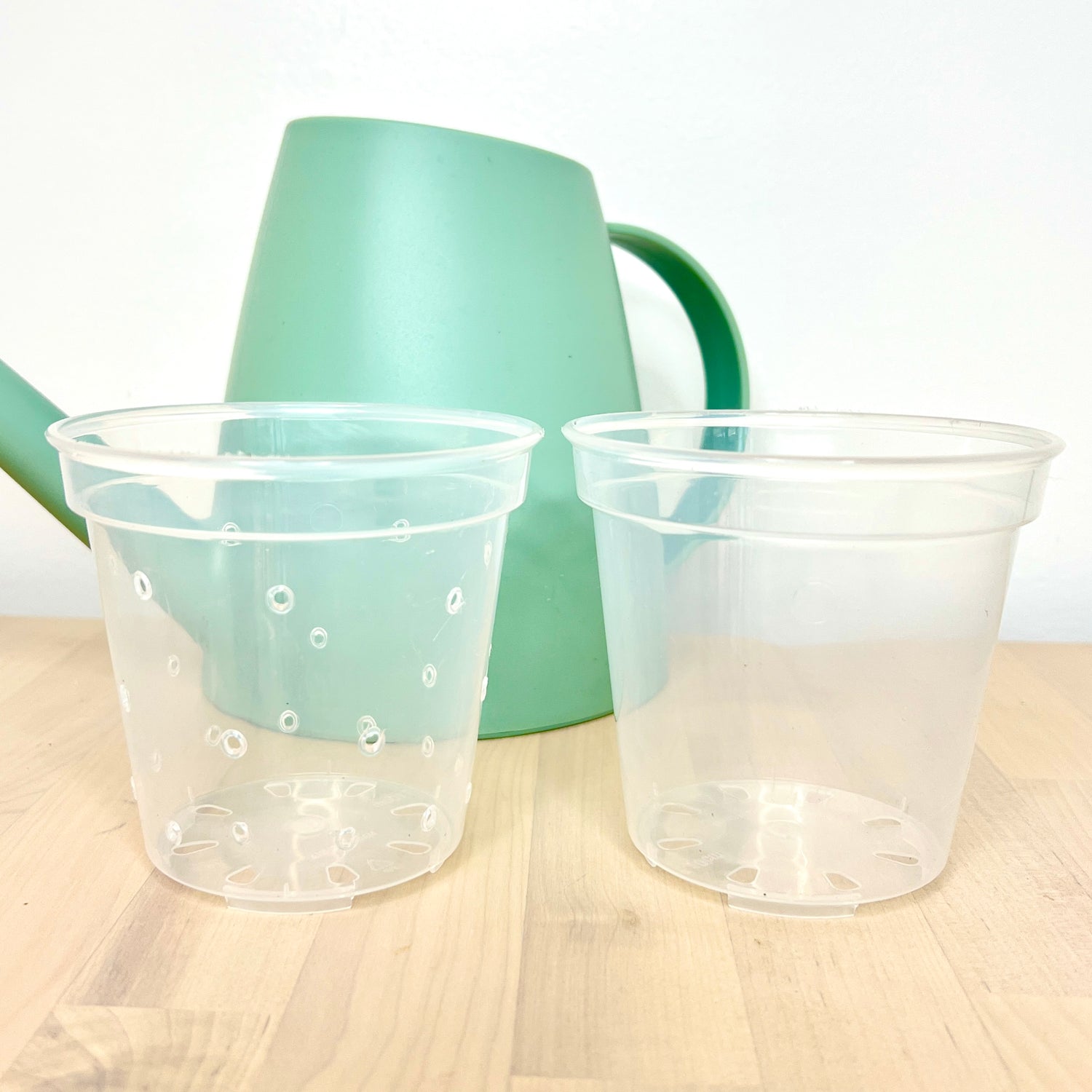 4” Clear Plastic Plant Pot – Standard Option