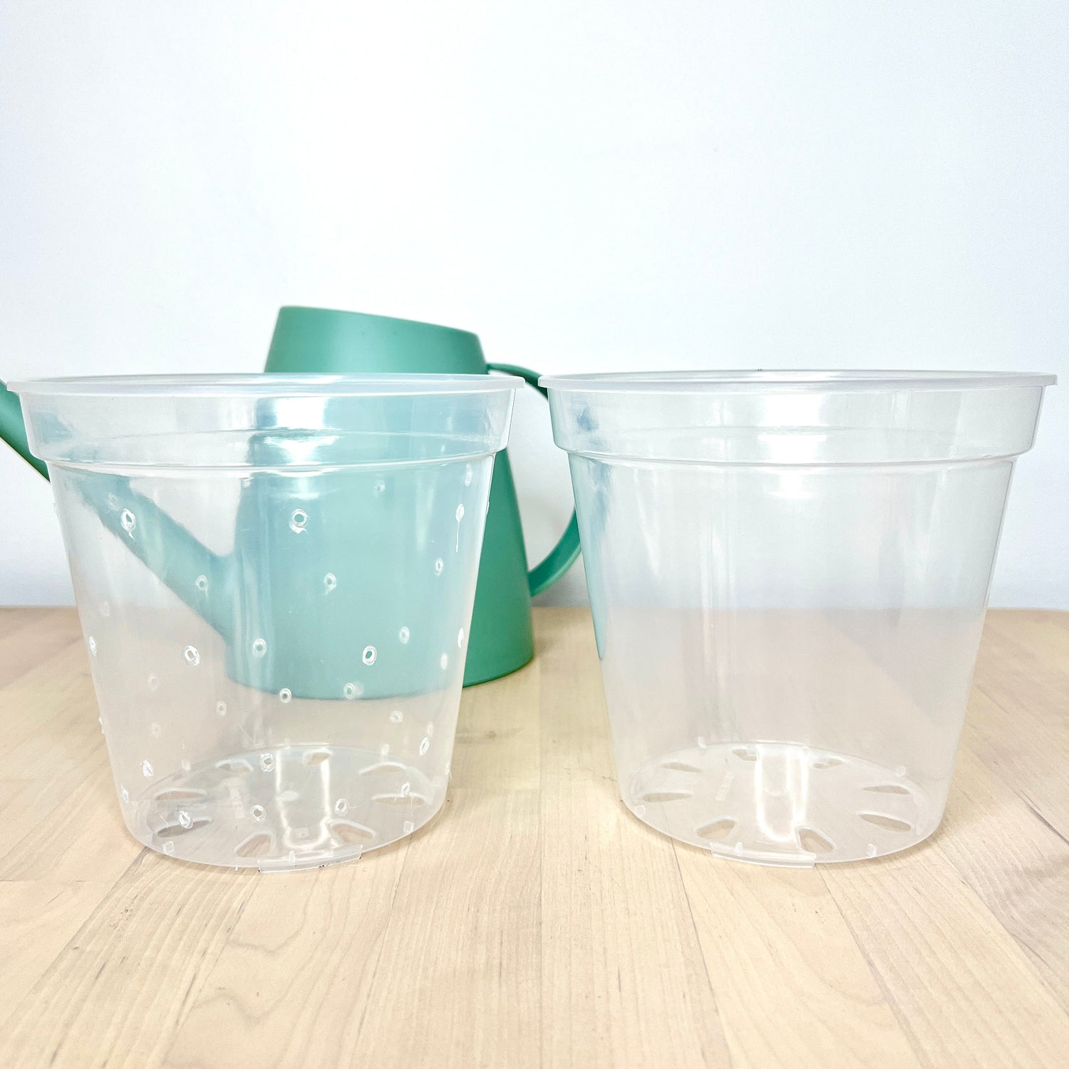 6” Clear Plastic Plant Pot – Standard Option
