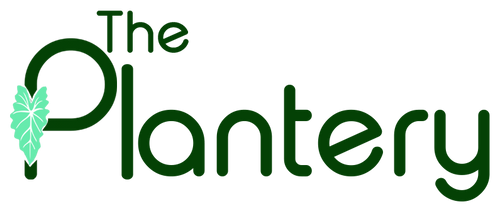 The Plantery